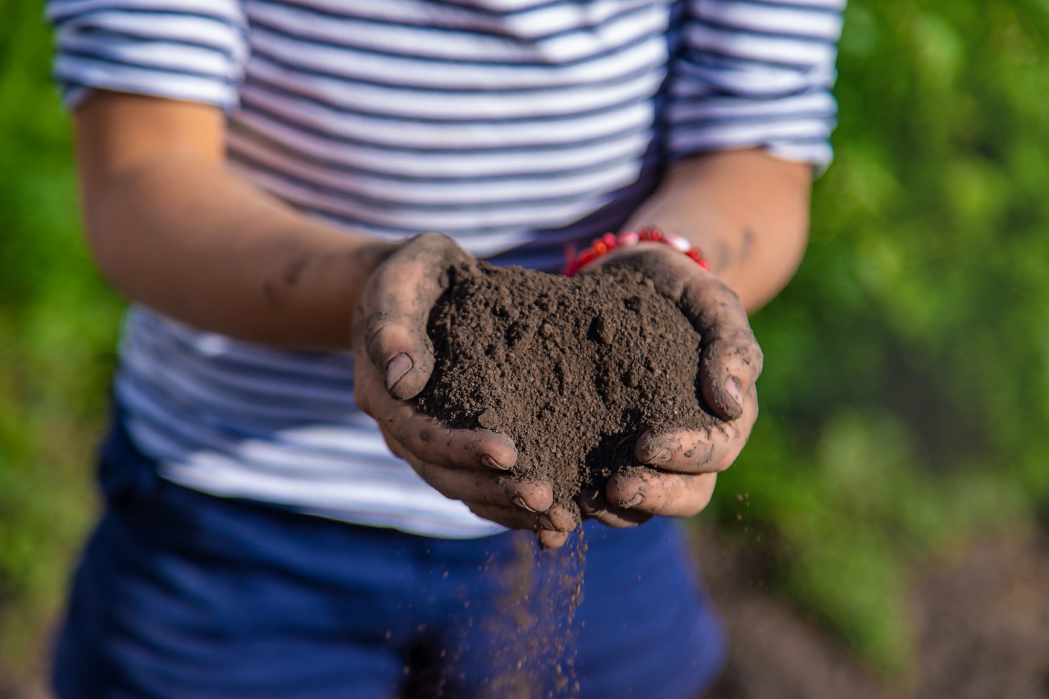 Garden soil testing 2023 Tips To Save Money on Landscaping